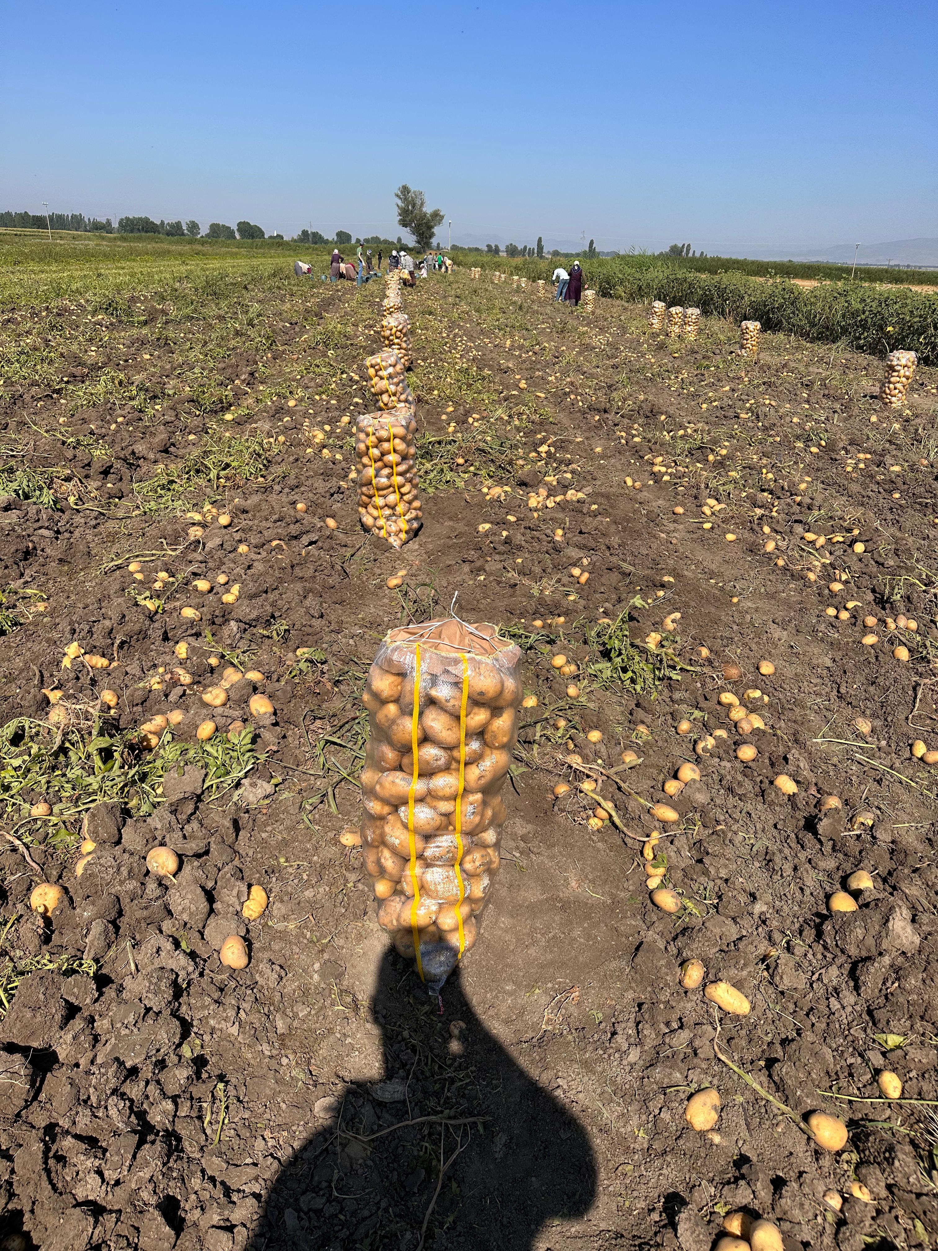 Fotoğraf 11